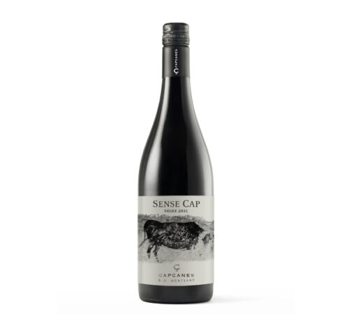 Sense Cap Jove Negre 2022