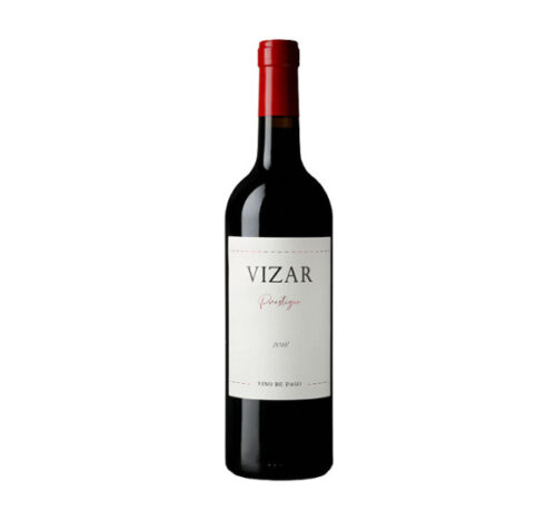 Vizar Prestigio 2018